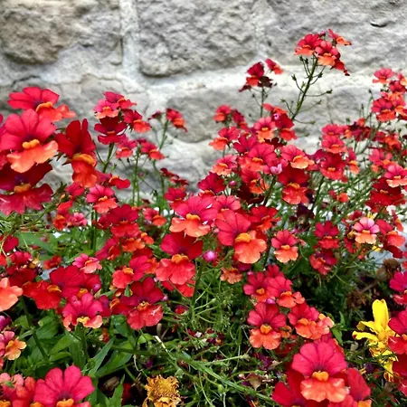 Au Havre Du Hameau Ley Morville