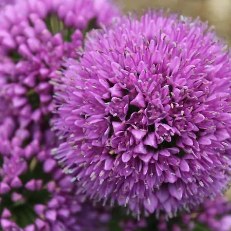 Au Havre Du Hameau Ley Tatil Evi *