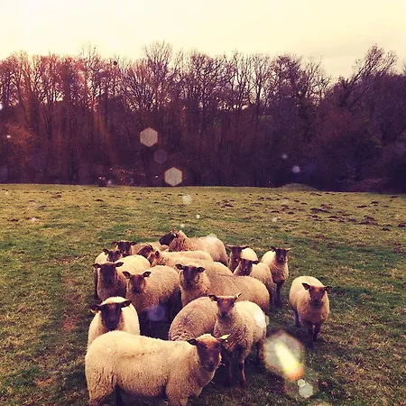 Au Havre Du Hameau Ley Tatil Evi Morville