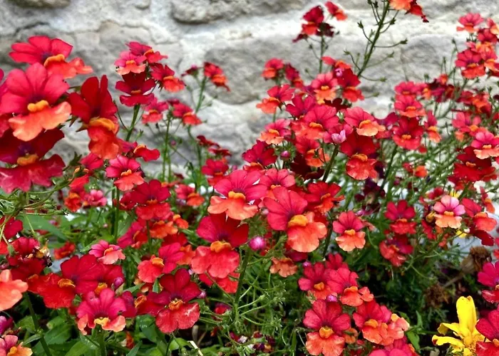 Au Havre Du Hameau Ley Morville