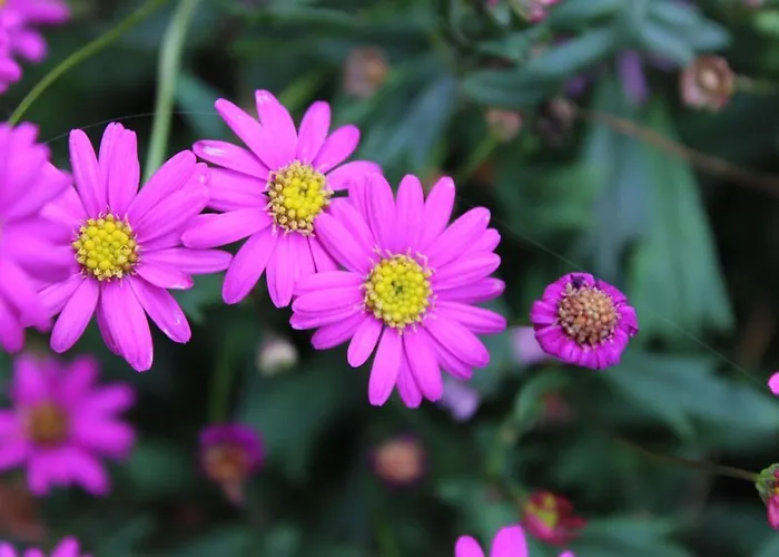 Au Havre Du Hameau Ley Holiday home