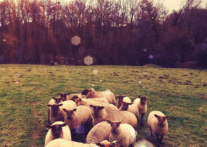 Au Havre Du Hameau Ley Holiday home Morville