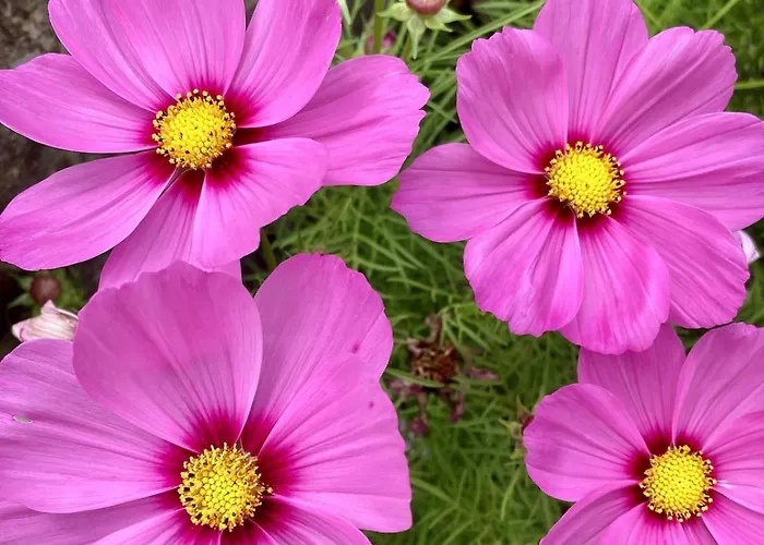 Holiday home Au Havre Du Hameau Ley